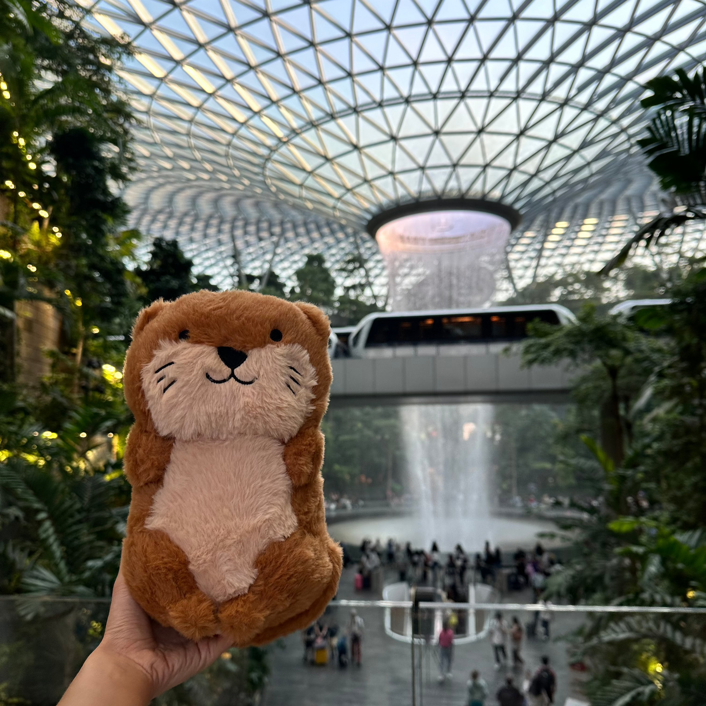 Singapura Otter Plushie